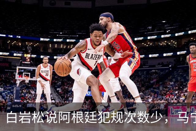 白岩松说阿根廷犯规次数少，马宁：我们看的是性质而非数量