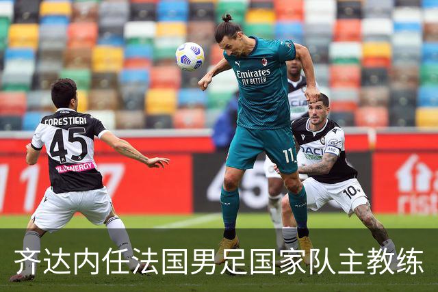 齐达内任法国男足国家队主教练